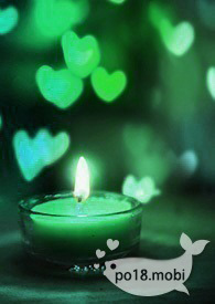 末世养老婆手册免费