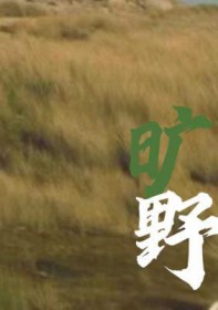 旷野之息如何救出阿陨视频