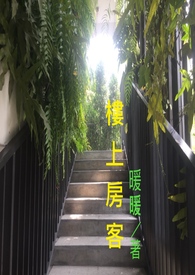 楼上房间里能种菜吗